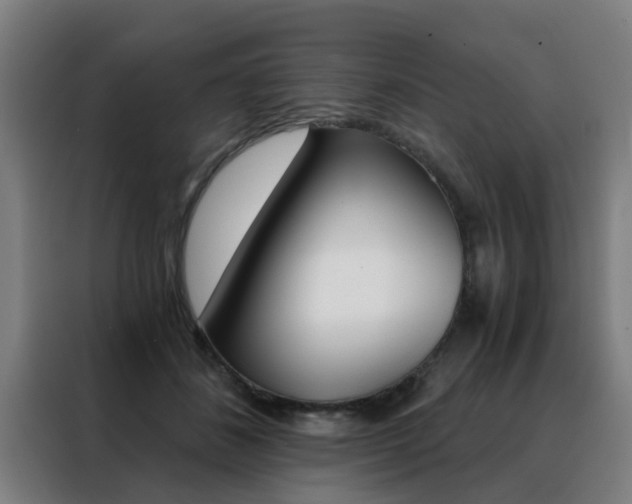 X0000088440508200705220917