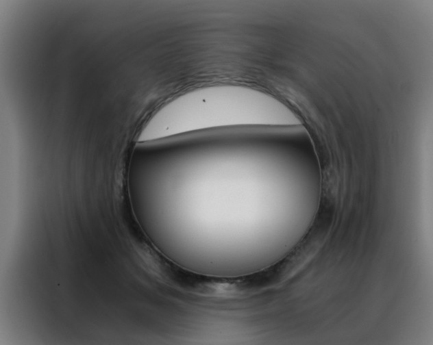 X0000088440509200705220917