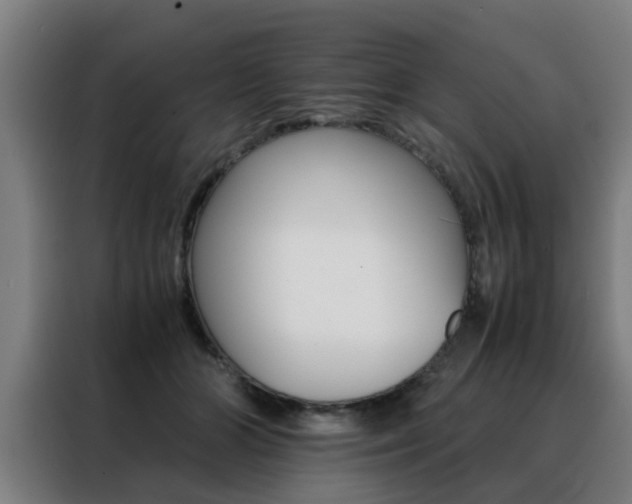 X0000088440510200705220917