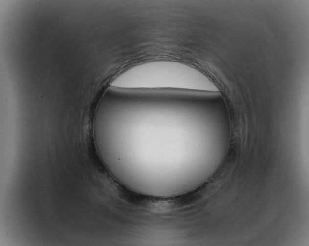 X0000088440513200705220917