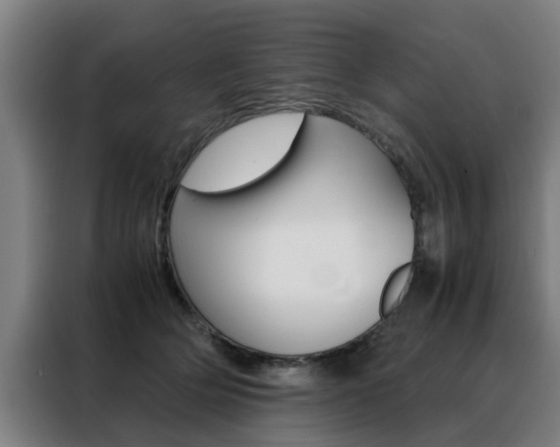 X0000088440514200705220917