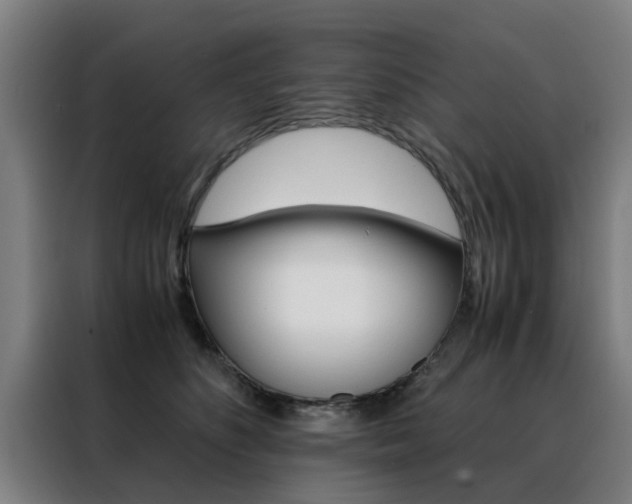 X0000088440516200705220917