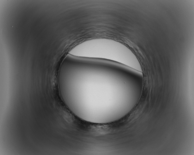 X0000088440517200705220917