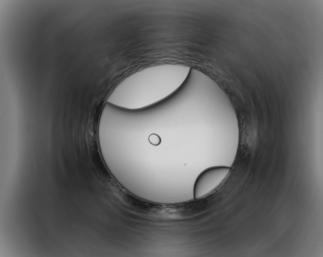X0000088440518200705220917
