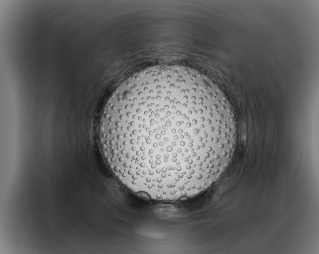 X0000088440519200705220917