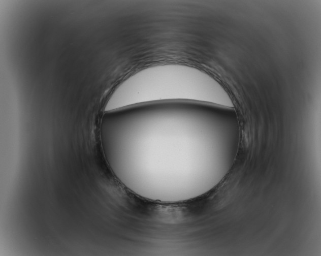 X0000088440520200705220917