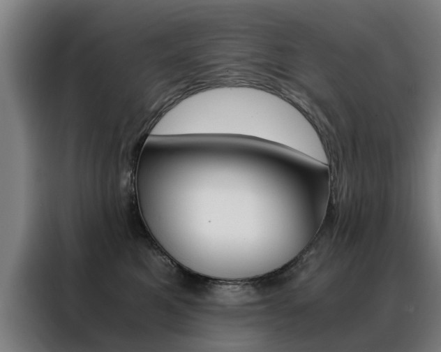 X0000088440521200705220917
