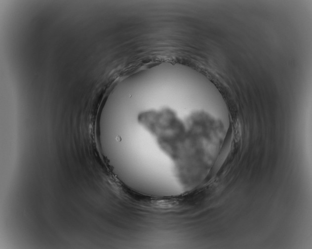 X0000088440522200705220917