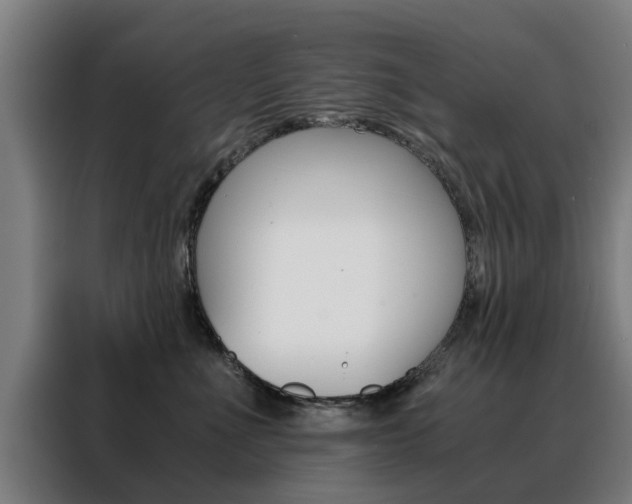 X0000088440523200705220917