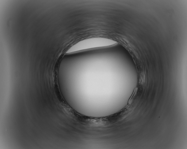 X0000088440524200705220917