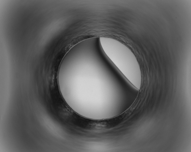 X0000088440525200705220917
