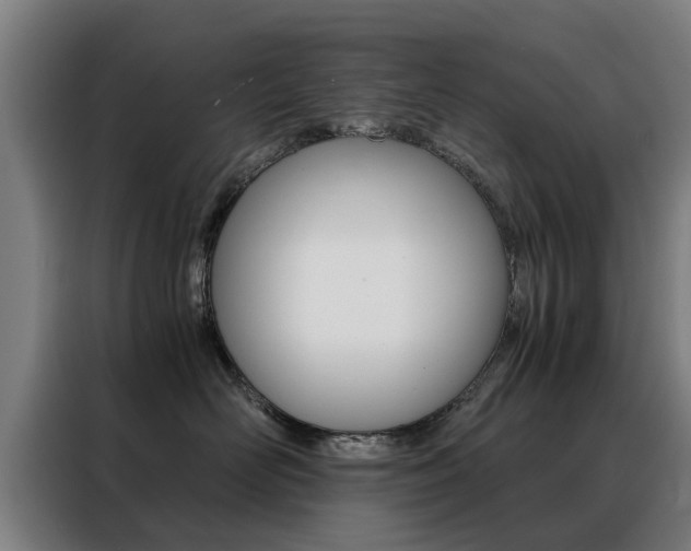 X0000088440526200705220917