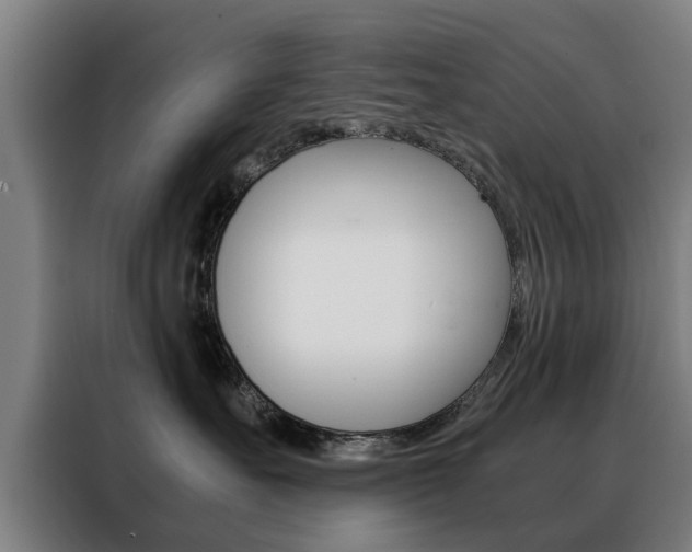 X0000088440527200705220917