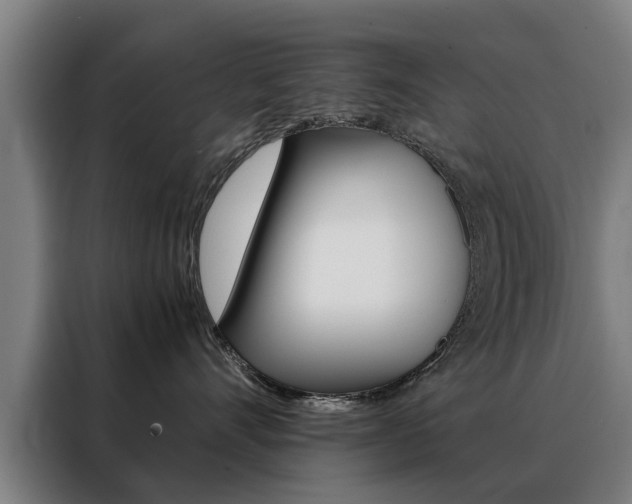 X0000088440528200705220917