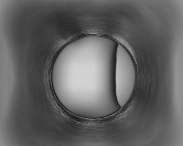 X0000088440529200705220916