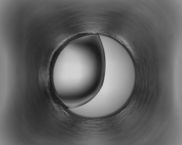 X0000088440532200705220916