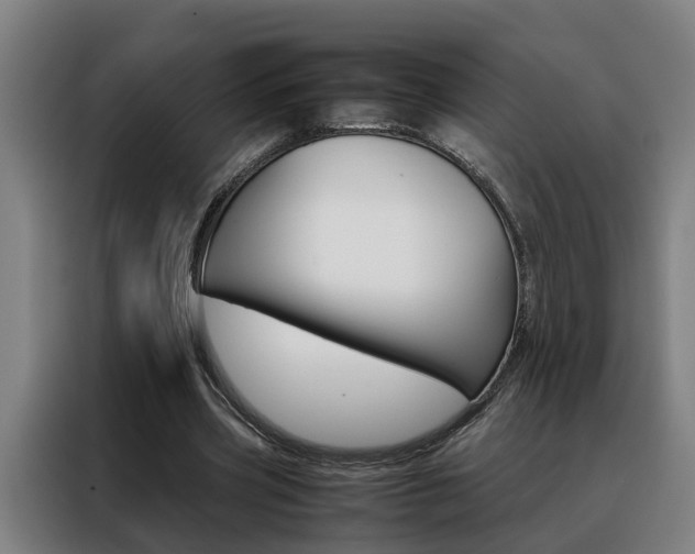 X0000088440533200705220916