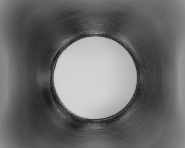 X0000088440534200705220916