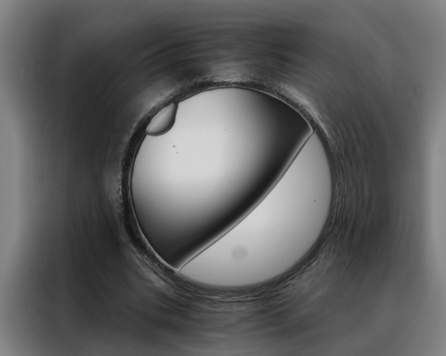 X0000088440535200705220916
