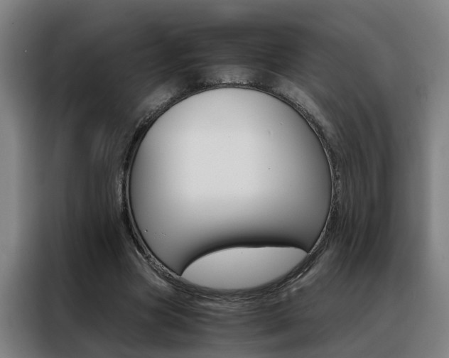 X0000088440537200705220917