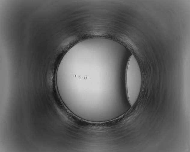 X0000088440542200705220917