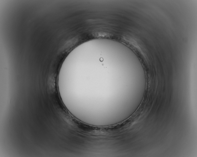 X0000088440545200705220917