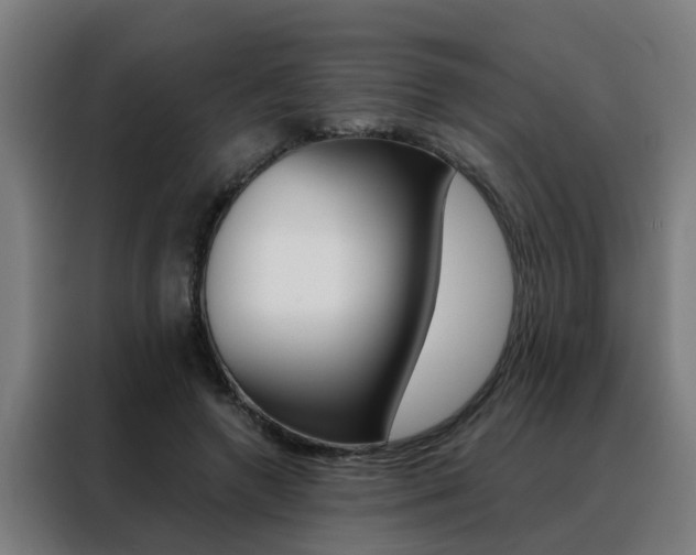 X0000088440546200705220917
