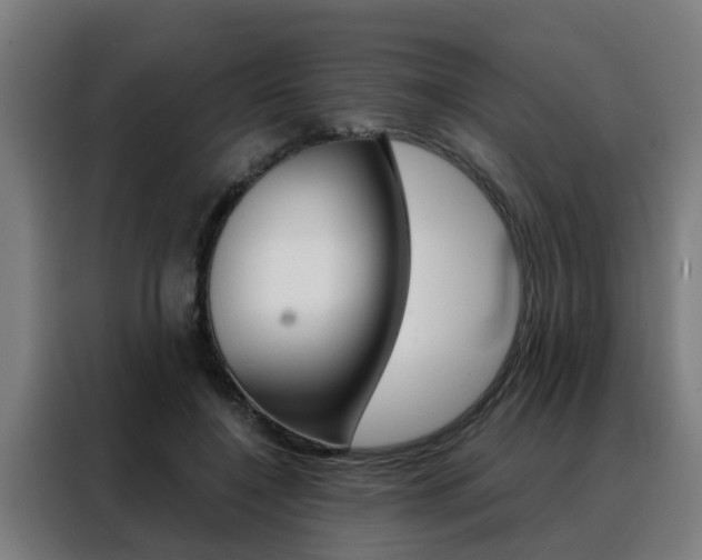 X0000088440548200705220917