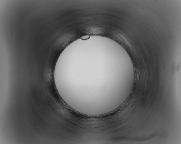 X0000088440549200705220917