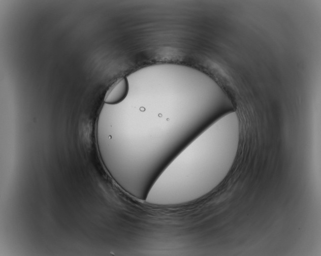 X0000088440550200705220917