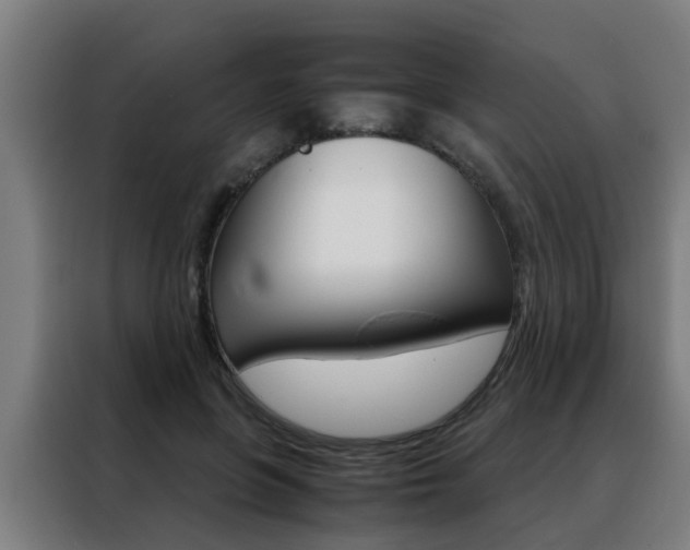 X0000088440551200705220917
