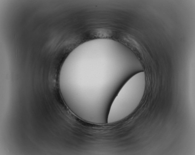 X0000088440553200705220917