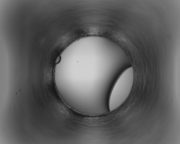 X0000088440554200705220917