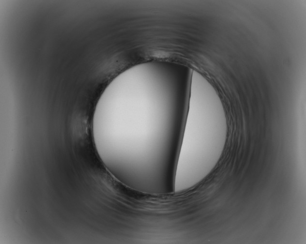 X0000088440555200705220917