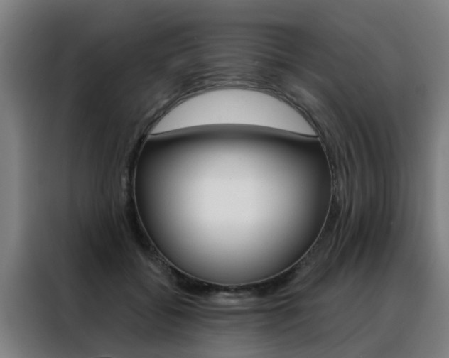 X0000088440556200705220917