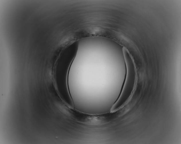 X0000088440558200705220917
