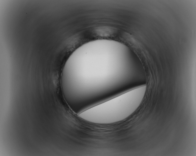 X0000088440559200705220917