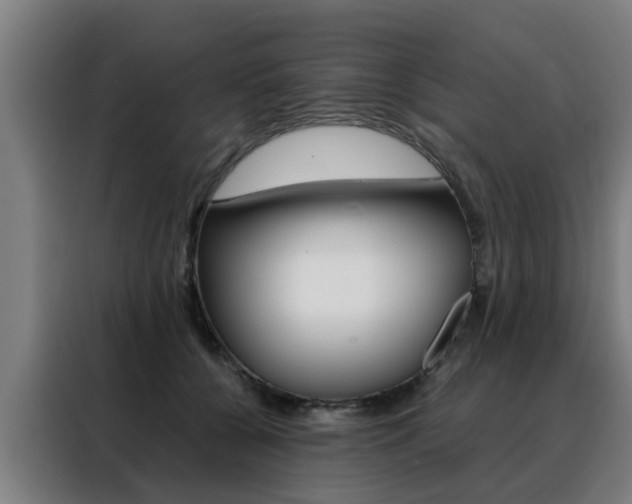 X0000088440560200705220917