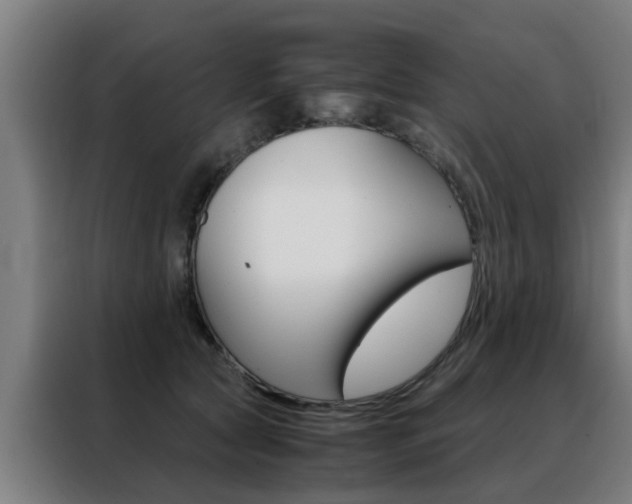X0000088440561200705220917