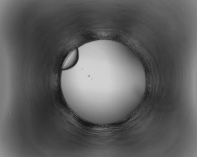 X0000088440563200705220917