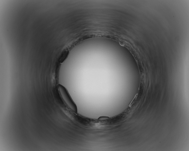 X0000088440564200705220917