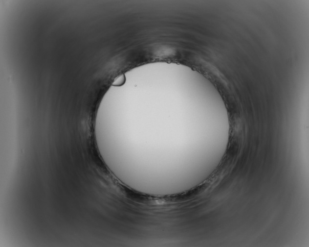 X0000088440565200705220917