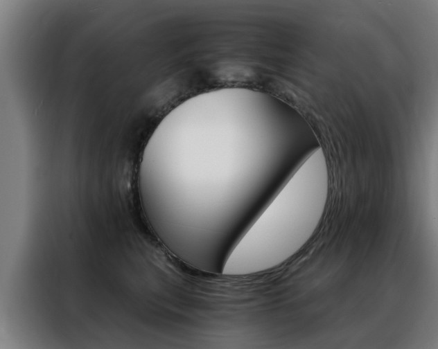 X0000088440567200705220917