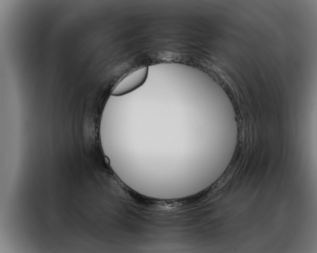 X0000088440569200705220917