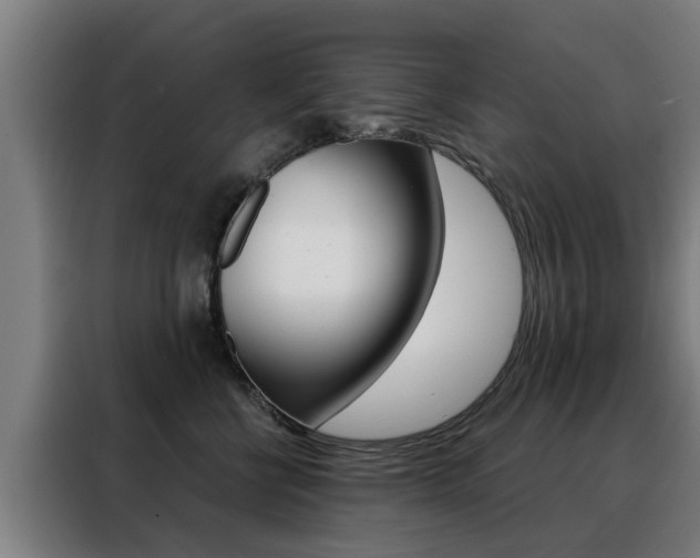 X0000088440570200705220917