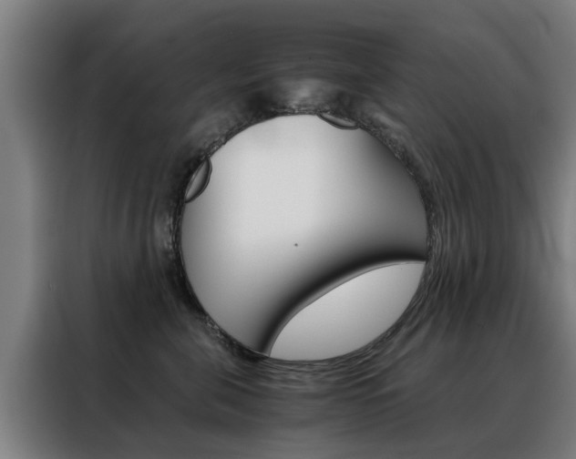 X0000088440571200705220917