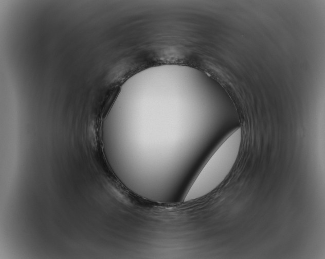 X0000088440572200705220917