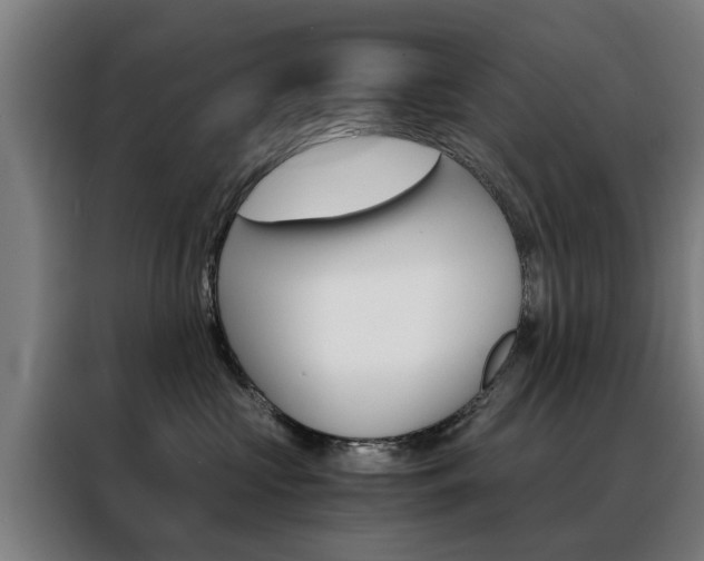 X0000088440573200705220917