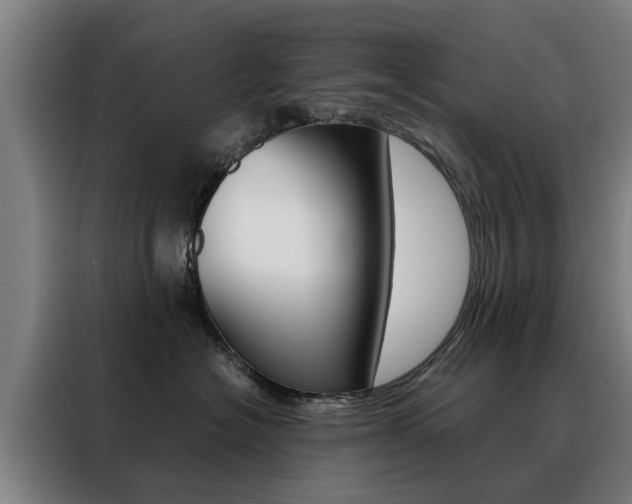 X0000088440574200705220917