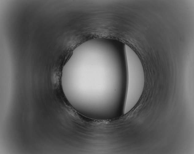 X0000088440576200705220917